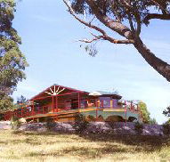 Barringwood Park Vineyard - Accommodation Whitsundays