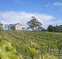 Bruny Island Premium Wines Bar and Grill - Accommodation Whitsundays