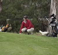 Tasmania Golf Club - The - Accommodation Whitsundays