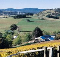 Freycinet Vineyards Pty Ltd - Accommodation Whitsundays