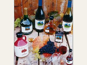 Abels Bay TAS Accommodation Whitsundays