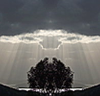 aart. Gallery of Fine Art - Accommodation Whitsundays