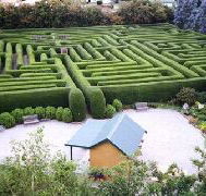Westbury Maze and Tea Room - Accommodation Whitsundays