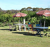 Cerise Brook Orchard  Family Golf - Accommodation Whitsundays