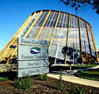 Forest EcoCentre - Accommodation Whitsundays