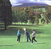 Deloraine Golf Course - Accommodation Whitsundays