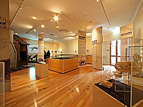 Tasmanian Tiger Exhibition - Accommodation Whitsundays 0