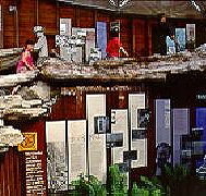 West Coast Visitor Information and Booking Centre - Accommodation Whitsundays