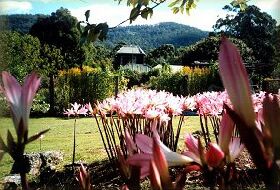 Blueberry Cottage Open Gardens - Accommodation Whitsundays 0