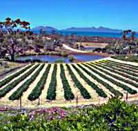 Kate's Berry Farm - Accommodation Whitsundays