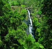 Kondalilla National Park - Accommodation Whitsundays
