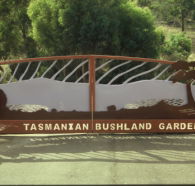 Tasmanian Bushland Garden - Accommodation Whitsundays