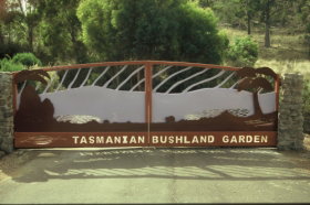 Tasmanian Bushland Garden - Accommodation Whitsundays 0
