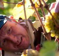 Puddleduck Vineyard - Accommodation Whitsundays