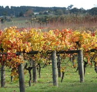 Apsley Gorge Vineyard - Accommodation Whitsundays