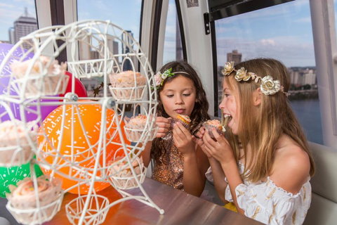 The Wheel Of Brisbane - Accommodation Whitsundays 2