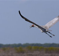 Gayngaru Wetlands Interpretive Walk - Accommodation Whitsundays