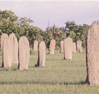 Magnetic Termite Mounds - Accommodation Whitsundays