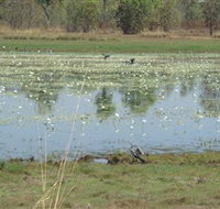 Leaning Tree Lagoon Nature Park - Accommodation Whitsundays