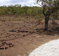 Wurrwurrwuy Garanhan Macassan Beach Interpretive Walk - Accommodation Whitsundays