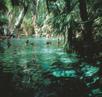Mataranka Thermal Pool - Accommodation Whitsundays