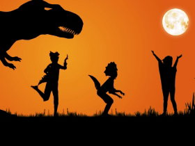 Energex Playasaurus Place - Accommodation Whitsundays 0