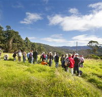 Apple Tree Park - Accommodation Whitsundays