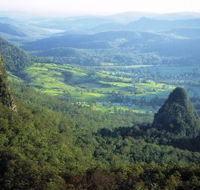 Springbrook Plateau Springbrook National Park - Accommodation Whitsundays