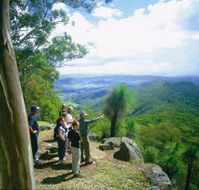 Gold Coast Hinterland Great Walk - Accommodation Whitsundays