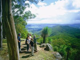 Gold Coast Hinterland Great Walk - Accommodation Whitsundays 0