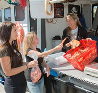 Gold Coast Fishermens Co-operative Limited - Accommodation Whitsundays