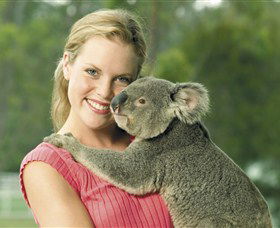 Paradise Country Aussie Farm Tour - Accommodation Whitsundays 0