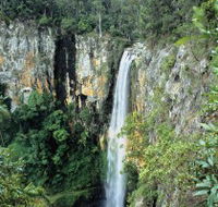 Gondwana Rainforests of Australia - Accommodation Whitsundays