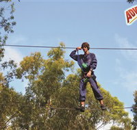 Adventure Parc at Currumbin Wildlife Sanctuary - Accommodation Whitsundays