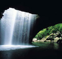 Natural Bridge Springbrook National Park - Accommodation Whitsundays