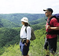 Sunshine Coast Hinterland Great Walk - Accommodation Whitsundays