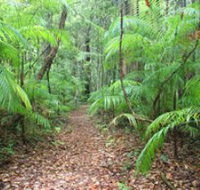 Delicia Road Conservation Park - Accommodation Whitsundays