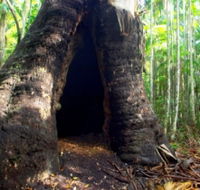 Tewantin National Park - Accommodation Whitsundays