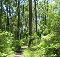 Mapleton Falls National Park - Accommodation Whitsundays