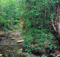 Mudlo National Park - Accommodation Whitsundays