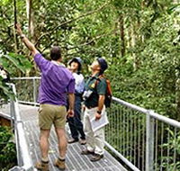 Daintree Discovery Centre - Accommodation Whitsundays
