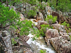 Crows Nest National Park - Accommodation Whitsundays 0