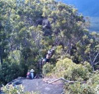 Mia Mia State Forest - Accommodation Whitsundays