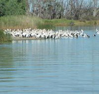 Lake Ross - Accommodation Whitsundays