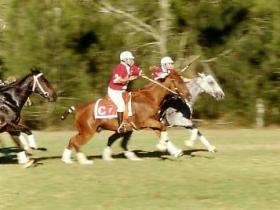 Thane QLD Accommodation Whitsundays