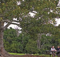 Ravensbourne National Park - Accommodation Whitsundays