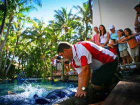 Daydream Island QLD Accommodation Whitsundays