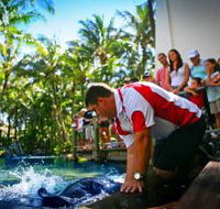 The Living Reef on Daydream Island - Accommodation Whitsundays