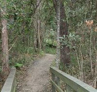 Springwood Conservation Park - Accommodation Whitsundays