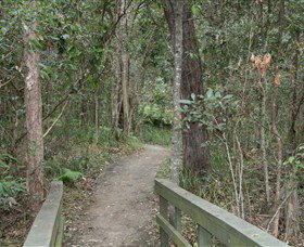 Springwood Conservation Park - Accommodation Whitsundays 0